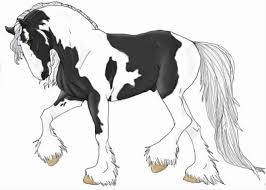 Gypsy Vanner By Sariyewolf On Deviantart Mein versuch ein gypsy vanner pferd zu malen. gypsy vanner by sariyewolf on deviantart