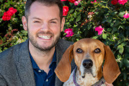 PHOTOS: Meet the dogs and cats of the DC mayor's office