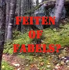 In italië heeft het noodweer van de voorbije week voor een gigantische ravage gezorgd. Noodweer Archives Italie