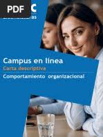 Comportamiento Organizacional