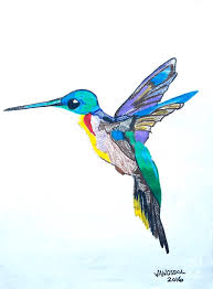 Check spelling or type a new query. Illustration Color Hummingbird Drawing Download Illustration 2020
