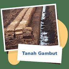 Terdapat 3 kelas yang dibahagikan untuk tanah gambut iaitu: Pahamify Kejarbarengpahamify On Twitter 3 Tanah Gambut Tanah Rawa Tanah Gambut Terbentuk Dari Pelapukan Bahan Organik Tanah Ini Biasanya Terdapat Di Daerah Yang Memiliki Iklim Basah Dan Bercurah Hujan Tinggi Kalau Di Indonesia