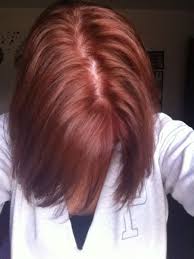 Redken Shades Eq Gloss 6rb 9rb Hair Hair Color
