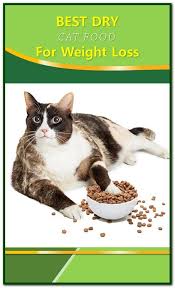 Pin On Cat Food