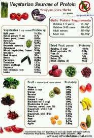 Vegetarian Sources Of Protein But I Like The List Of Fruits And Their Protein Content Especially For Vegetarian Protein Sources Vegetarian Protein Nutrition