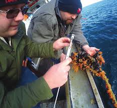 Impact Magazine 2017