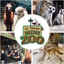 Kl tower mini zoo yakınlarındaki oteller: Kl Tower Mini Zoo Attraction Ticket And Vouchers Shopee Malaysia