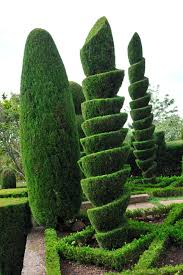 The spiral topiary trees that we provide also come without the need of wasting your money on pesticides, water and your precious time. 53 Stunning Topiary Trees Gardens Plants And Other Shapes Home Stratosphere