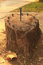 Ajoutez des couleurs et de la personnalité à votre propriété grâce à notre sélection d'objet de décoration de jardin. Des Idees De Decoration Du Jardin Bio Avec De La Recup