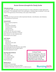 Opt In Freebie Dosage Calculations Conversions Cheat Sheet Nursing School Of Success Nursing School Notes Pediatric Nursing Nursing School Studying