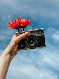 Shop vintage canvas wall art prints. 20 000 Best Vintage Photos 100 Free Download Pexels Stock Photos
