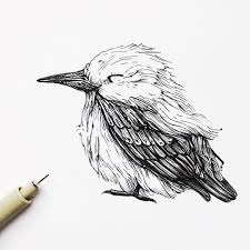 A Little Warmup Sketch Ink Illustration Sketchbook Drawing Micron Pxlsketch Art Penandink Sketch Inkdrawing L Micron Pen Art Pen Art Bird Drawings