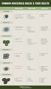 Mold Allergy Symptoms Testing And Natural Treatment Drjockers Com Allergies Seasonal Allergies Symptoms In 2020 Mold Exposure Mold Allergy Mold Allergy Symptoms