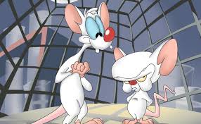 Pinky and the brain find themselves. Insanity Vs Intelligence Pinky And The Brain Conspiracy Theory By Tasha Medium