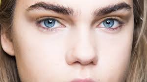 Start by figuring out where you should tweeze or wax hairs away, because you don't want to take here's how much eyebrow hair you should tweeze or wax: Can Eyebrows Grow Back How To Regrow Your Brows Quickly Allure