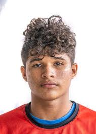 Federación Venezolana de Coleo