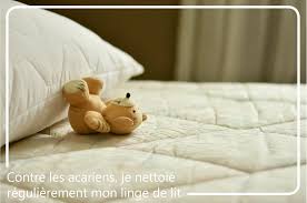 Les Acariens Ce N Est Pas Rien