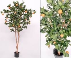 Dalo pflanze, man isst die wurzel wie eine kartoffel. Kunstlichen Orangenbaum Mit 23 Fruchte Online Bestellen