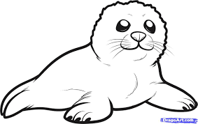 Cartoon Seal Lion Coloring Pages Zoo Animal Coloring Pages Animal Coloring Pages