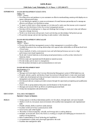 sales development resume samples