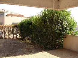 location appartement t4 rez de jardin marseille 13012 agence immobiliere marseille provencia immobilier provencia immobilier
