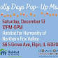 Holly Days Holiday Pop-Up Market at Habitat for... event in Elgin, IL
