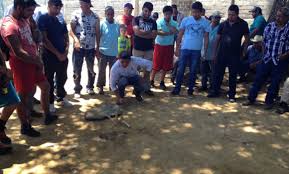 Revive Ciénega de Zacapu juego purépecha témbini iumu - Quadratín Michoacán