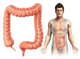 Χορηγούνται για να διακόψουν έκτοπους ρυθμούς με κοιλιακή ή υπερκοιλιακή προέλευση ή για να προλάβουν την εμφάνισή τους, υπό τον όρο ότι δεν υπάρχει κίνδυνος από την προαρρυθμική τους δράση. Ti Prokalei Th Dyskoiliothta Proctoclinic Gr