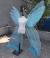 Homemade Diy Butterfly Wings