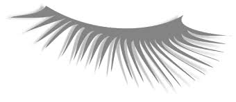 All png & cliparts images on nicepng are best quality. Vector Fake Eyelashes Png Background Image Png Arts
