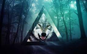 Free download best wolf hd wallpapers for desktop. Tumblr Desktop Wolf Wallpapers Wallpaper Cave