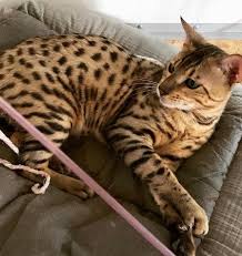 My little stud! 🤍