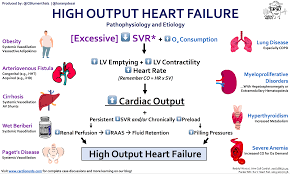 Image result for Cardiac Output