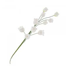 They aren't quite as exciting on their own, but when paired with other flowers they can stock flowers bloom from spring to fall and come in a multitude of colors ranging from soft white to bright purple. Global Sugar Art Lily Of The Valley Sugar Cake Flowers Filler Spray White 5 Count By Chef Alan Tetreault Filler Flowers