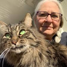 KnitPro KP51422 Crochet Bois Multicolore 22 x 0,7 x 11,2 cm : Amazon.fr:  Cuisine et Maison