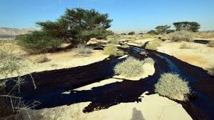 Israeli soldiers wearing protective suits clean tar from a beach after an oil spill in the mediterranean sea in sharon beach nature reserve, near gaash, israel, monday, feb. Israeli Desert Hit By Major Oil Spill Bbc News