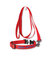 Personalized Side Release Buckle Dog Collars Orvis