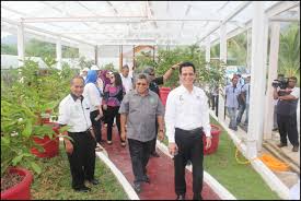 Nata rosovskaya 69 views10 months ago. Majlis Penyerahan Projek Dan Lawatan Ke Projek Menaik Taraf Prasarana Taman Agroteknologi Mardi Langkawi Blog Rasmi Mardi
