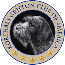 Image result for griffon korthalsův