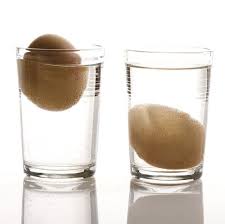 egg float test  how to tell if your