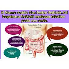 Ia juga sesuai dijadikan makanan tambahan atau snek harian anda. Arabic Gum Al Manna Serbuk Shopee Malaysia