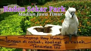 Air terjun tirtosari having an address at ngluweng, ngancar, plaosan, ngancar, plaosan, kabupaten magetan, jawa timur 63361, indonesia. Tirto Gumarang Wisata Baru Magetan Youtube