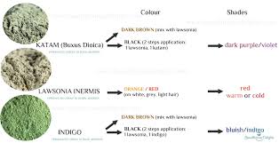 There are two ways to apply henna and indigo, the first method is a single step process of soaking henna powder over night and then adding indigo powder paste to it in the morning and applying it together. Dark Purple Hair Blue Black Hair Or Jet Black Hair Using Katam Or Ind Beautilicious Delights