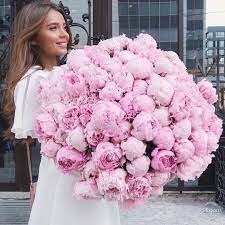 Le peonie sono uno dei pilastri di giardini perenni in tutto il mondo e uno dei preferiti dalle spose. My Peony Society On Instagram Perfect Romance Amazing Bunch Of Peonies Piony Pion Cveto Beautiful Flower Arrangements Beautiful Flowers Balloon Flowers