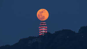 Specifically, pink moon is the bleakest of them all; Aoqpnvzqhk5olm