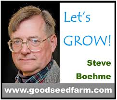 Let's Grow: Can biophilia help combat the coronavirus?