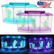 However, this beauty comes along with many issues, especially when you. 1gal Betta Fish Aquarium Tank With Led Filter Small Penn Plax Deluxe Triple Us Unbranded Betta Fish Tank Betta Aquarium Betta Fish