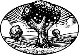 Apple Tree Clip Art Black And White Fruit Tree Woodcut Google Search Apple Tree Nature Scenes Plant Drawing
