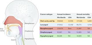 During an indirect pharyngoscopy and laryngoscopy, we place small mirrors at the back of your mouth to clearly examine your throat, the base of your tongue and part of your larynx. The Changing Therapeutic Landscape Of Head And Neck Cancer Nature Reviews Clinical Oncology