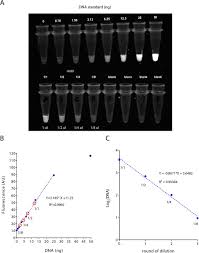 Image result for Black 1999 AAV